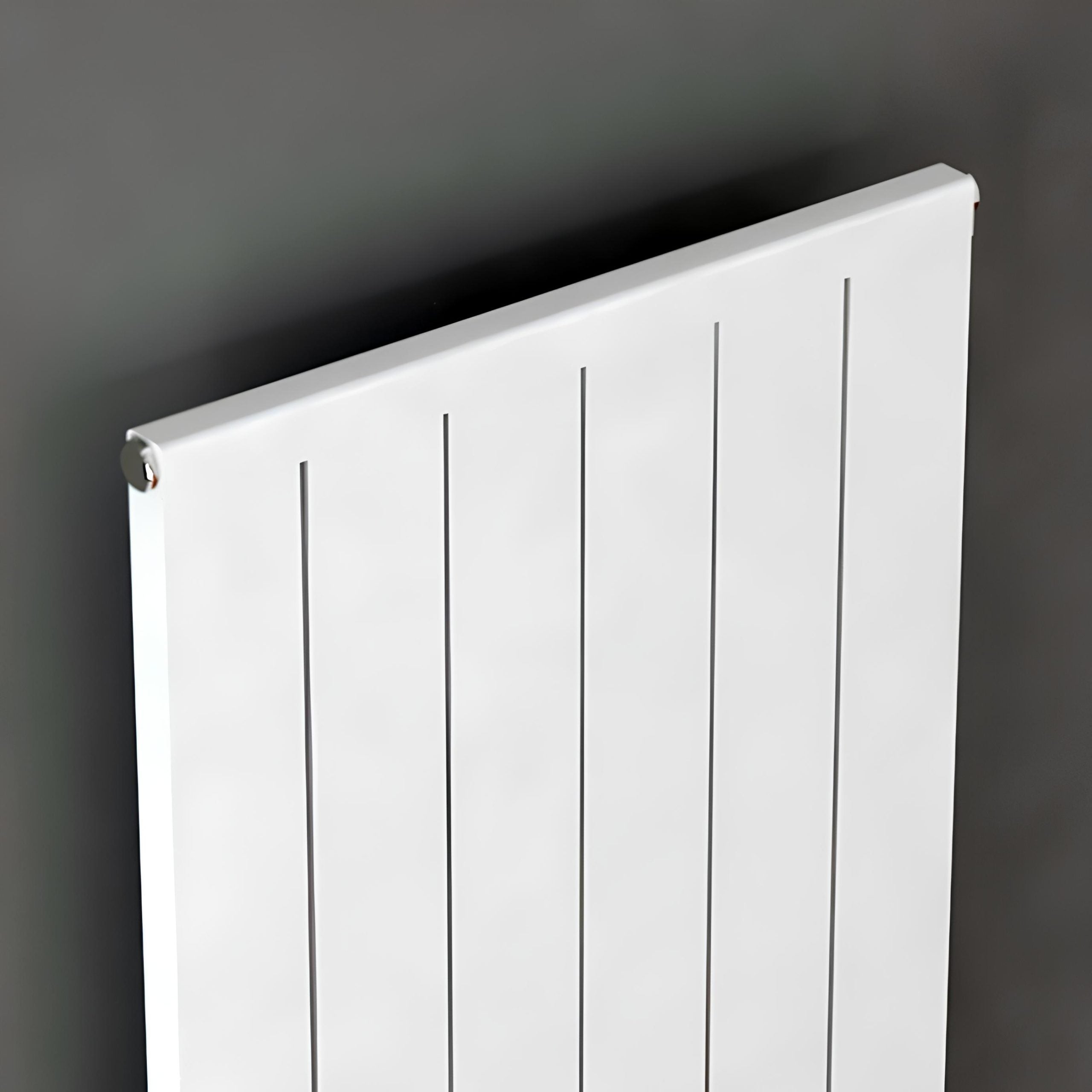 Carisa Mack Modest Vertical Designer Radiator | 2 colours, 3 sizes