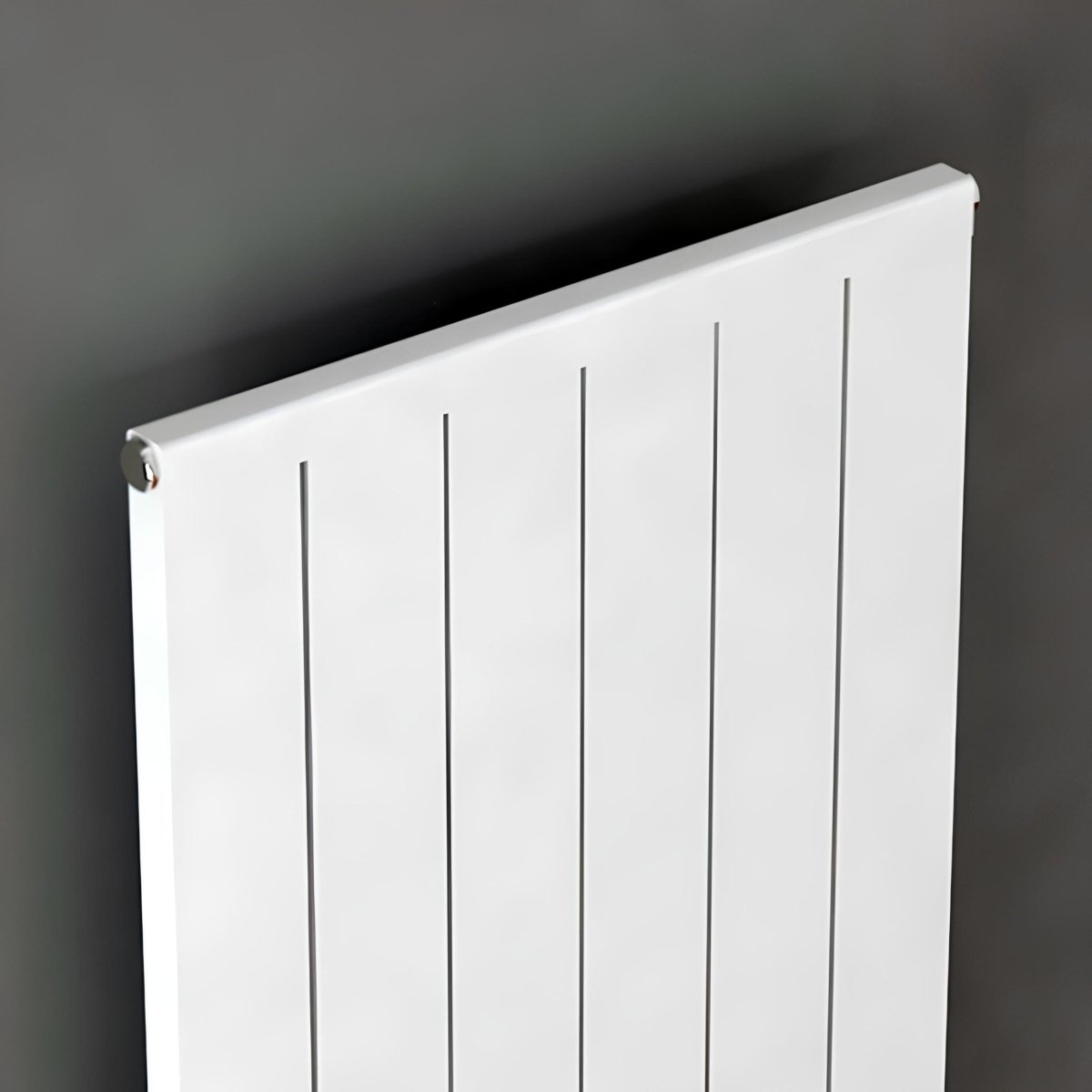 Carisa Mack Modest Vertical Designer Radiator in 1800H x 315W