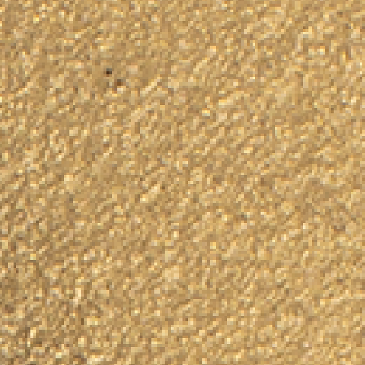 Paladin Bright Gold Finish in