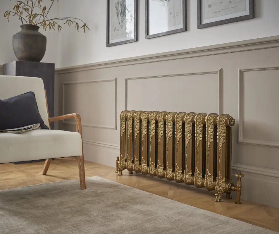 Paladin Shaftsbury Cast Iron Radiator in 540H x 406W