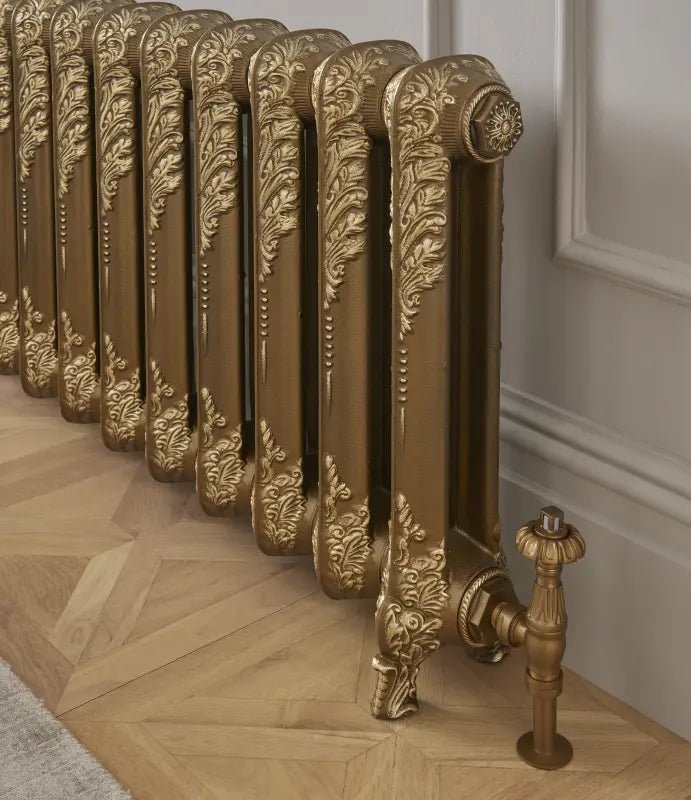 Paladin Shaftsbury Cast Iron Radiator in 540H x 406W