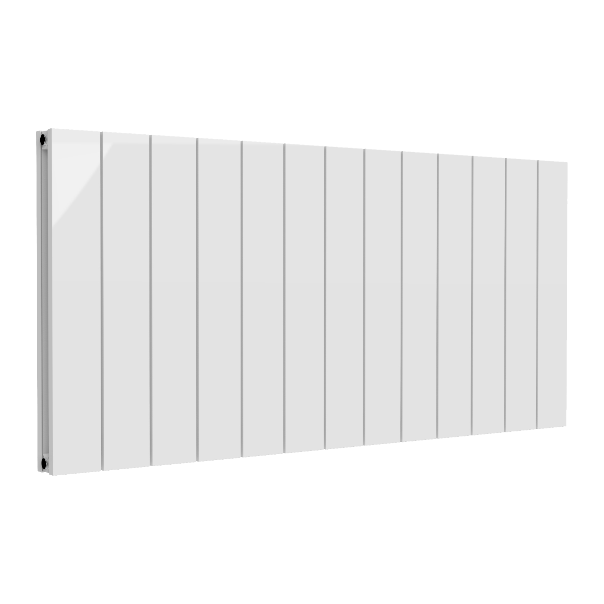 Reina Casina Horizontal Double Panel Radiator | 2 colours, 6 sizes