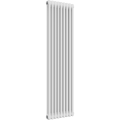 Ice Cold Spice Charleston 2 Column Vertical Radiator