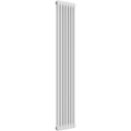 Ice Cold Spice Charleston 2 Column Vertical Radiator