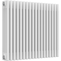 Ice Cold Spice Dakota 4 Column Horizontal Radiator