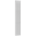 Ice Cold Spice Brooklyn Vertical Designer Radiator