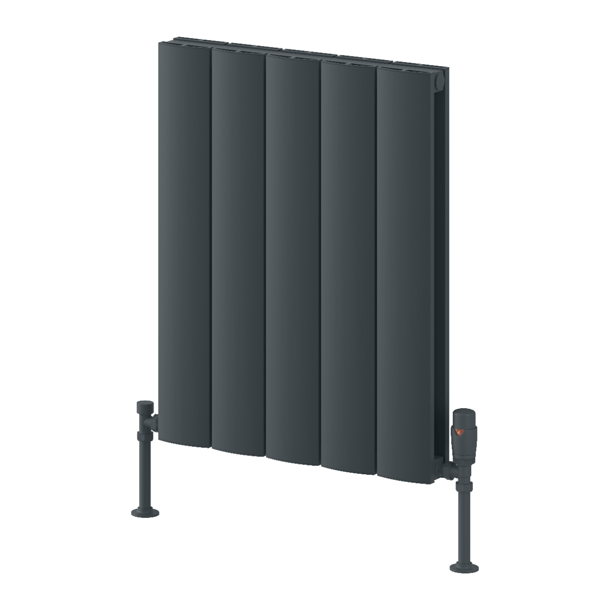 Reina Loco Horizontal Double Panel Aluminium Radiator in Anthracite