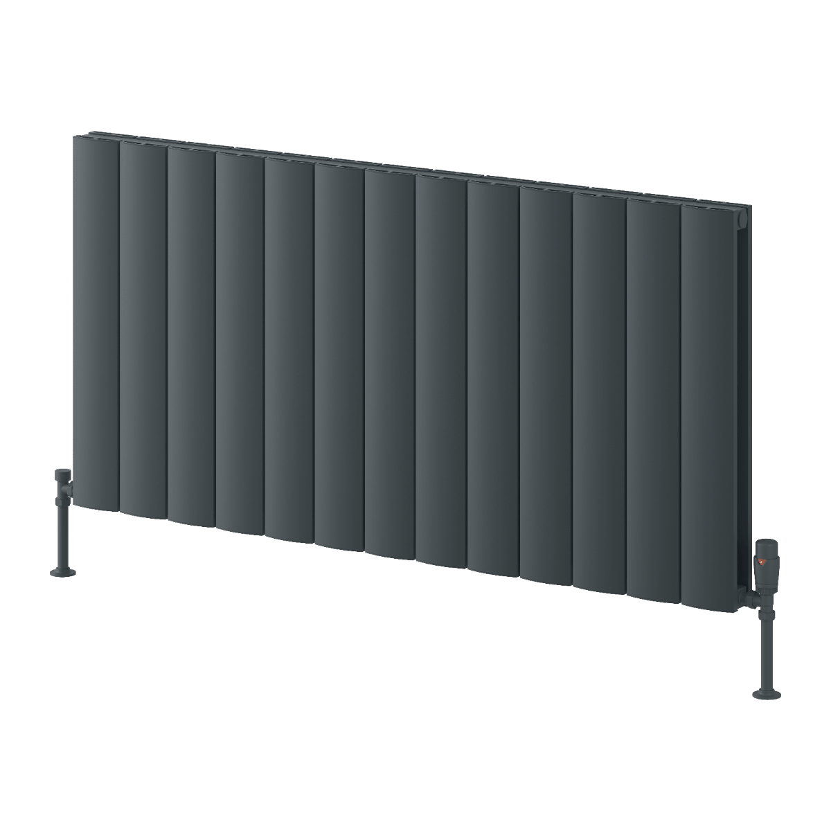 Reina Loco Horizontal Double Panel Aluminium Radiator in Anthracite