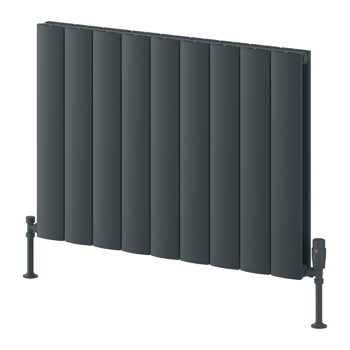 Reina Loco Horizontal Double Panel Aluminium Radiator in Anthracite