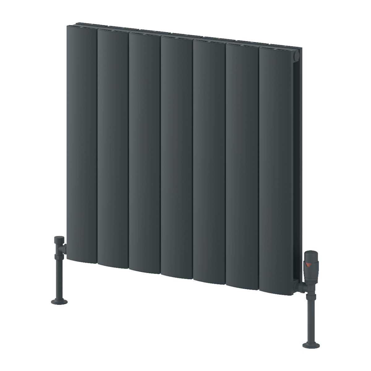 Reina Loco Horizontal Double Panel Aluminium Radiator in Anthracite