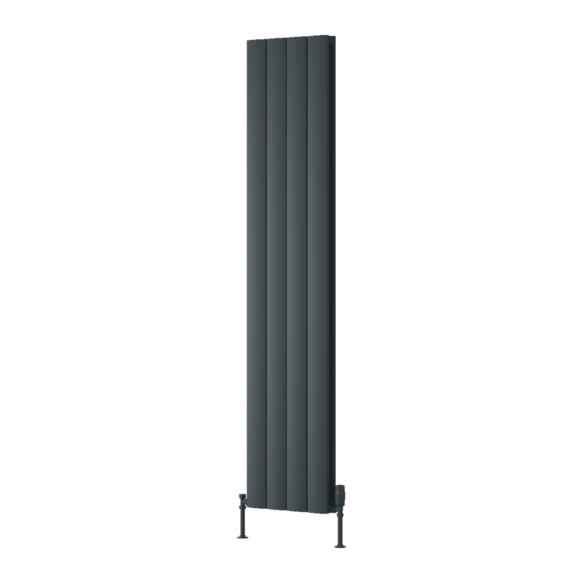 Reina Loco Vertical Double Panel Radiator in Anthracite