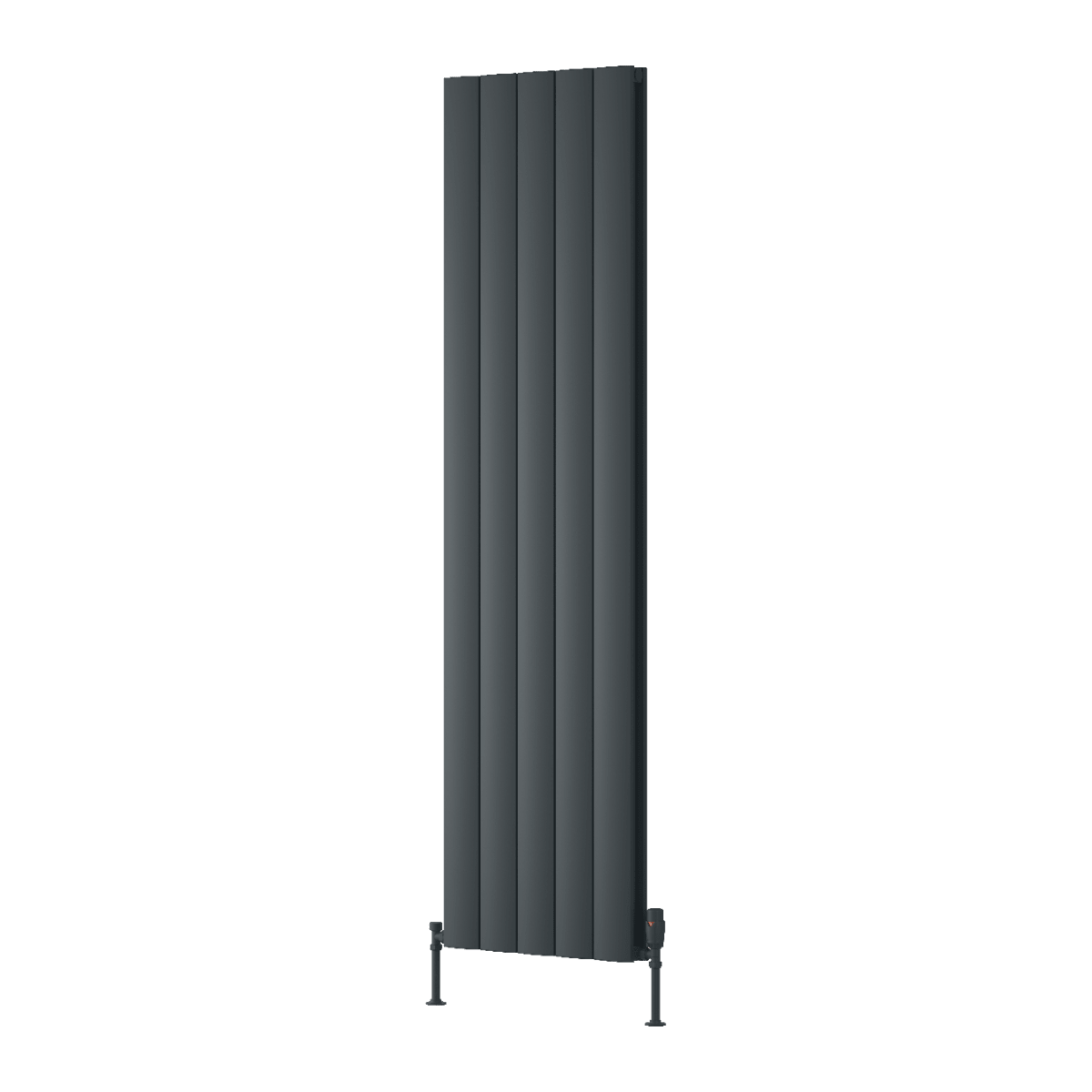 Reina Loco Vertical Double Panel Radiator in Anthracite