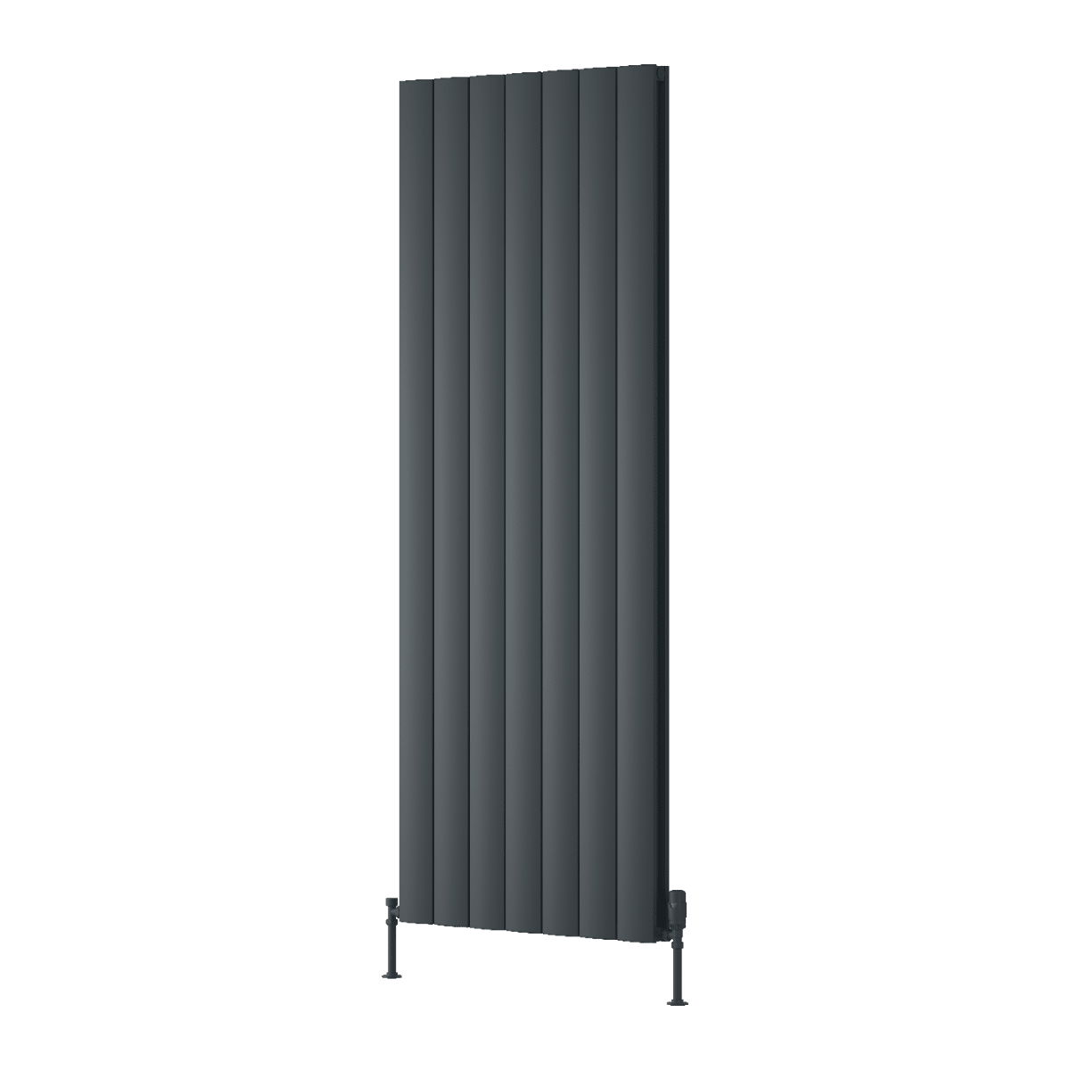Reina Loco Vertical Double Panel Radiator in Anthracite