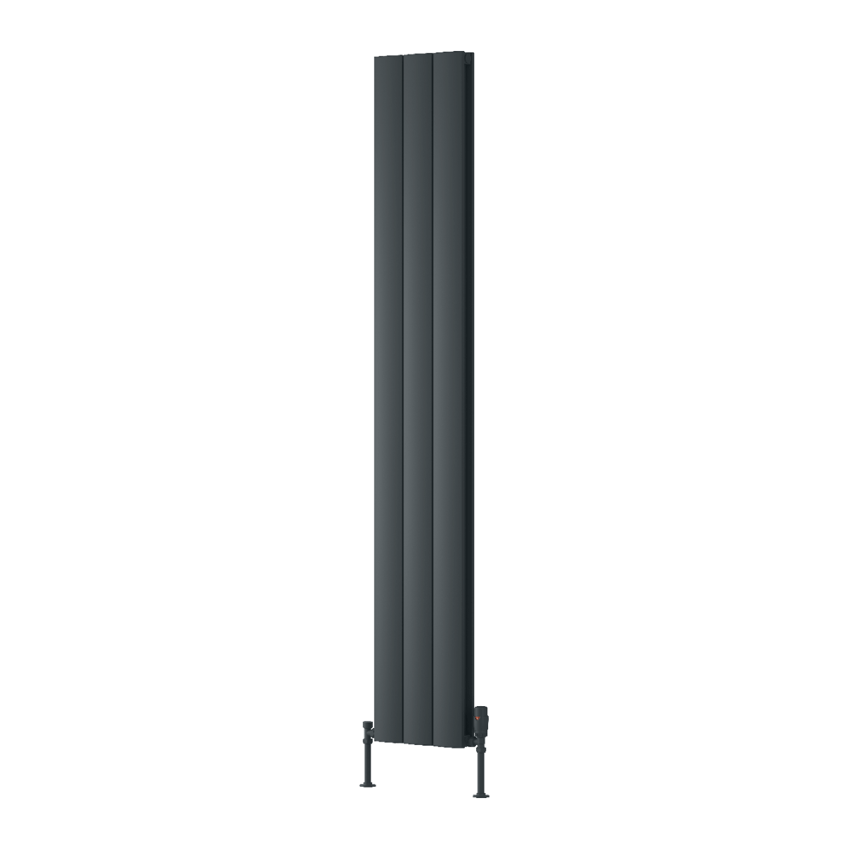 Reina Loco Vertical Double Panel Radiator in Anthracite