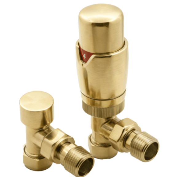 Reina Modal TRV Angled Valves in Brushed Brass