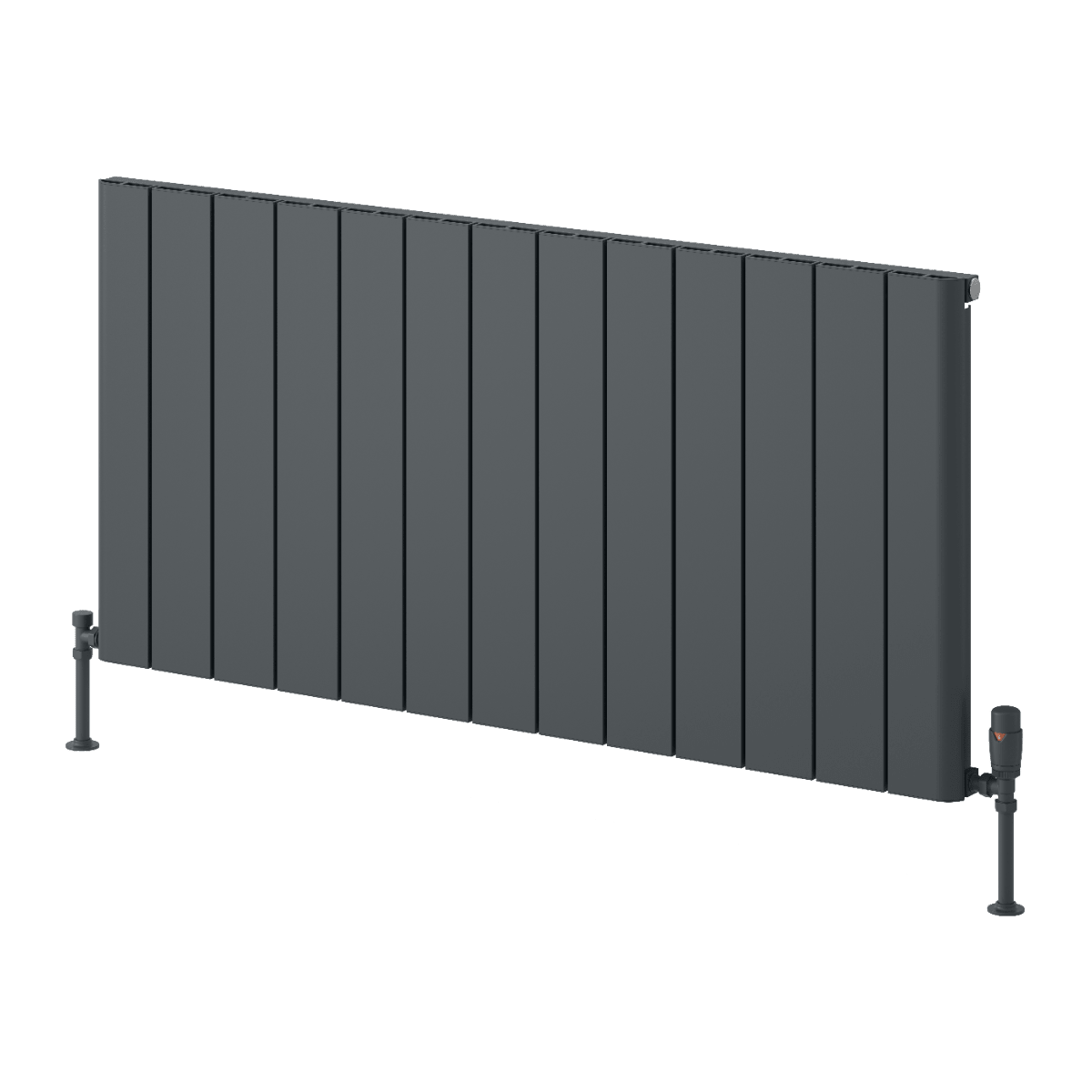 Reina Resia Horizontal Flat Panel Radiator in 600H x 1230W