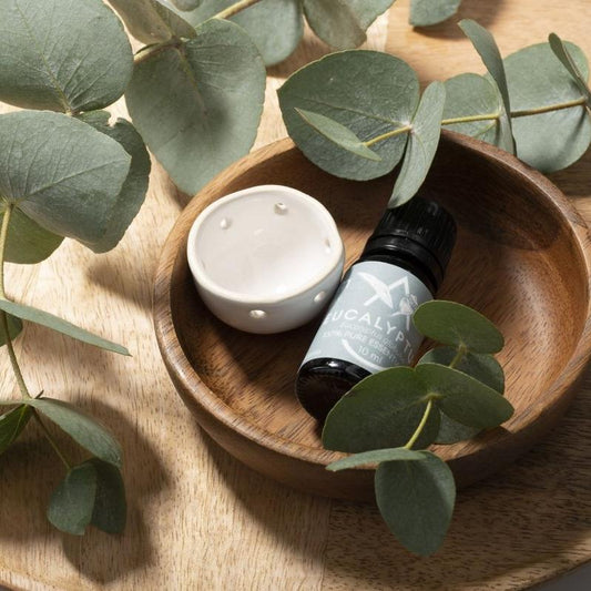 Saunum Eucalyptus Aroma Set in